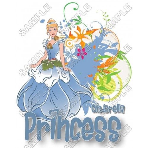  Disney Princess Cinderella T Shirt Iron on Transfer Decal ~#21 by www.topironons.com