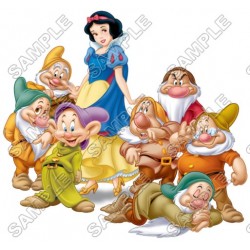 Disney Princess Snow White and the Seven Dwarfs T Shirt Iron on Transfer Decal ~#1