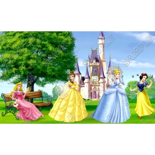  Disney Princess T Shirt Iron on Transfer Decal ~#27 by www.topironons.com