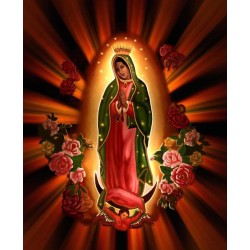 Our Lady of Guadalupe T Shirt Iron on Transfer Decal ~#2
