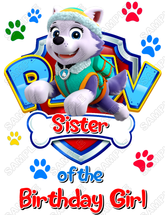 Paw Patrol Everest Birthday Custom Personalized Iron ...