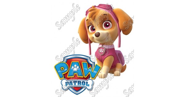 PAW PATROL T-SHIRT IRON ON TRANSFER